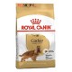 Royal Canin Dog Food Adult Cocker Spaniel 13 kg